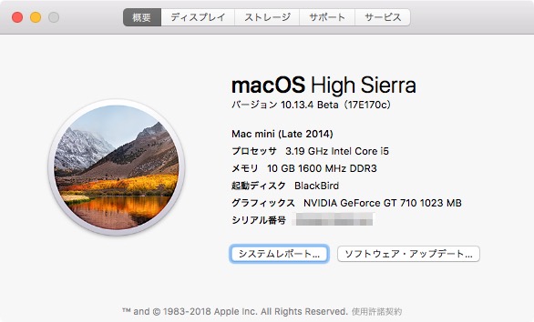 Pro6300の「このMacについて」