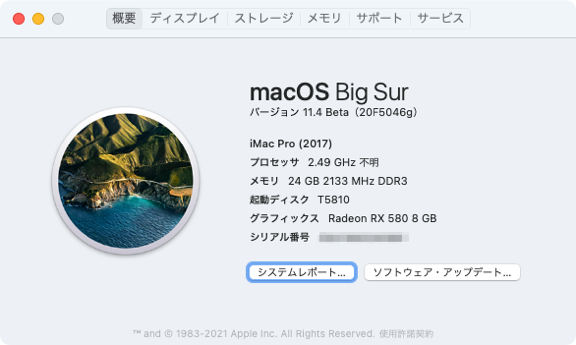 Big Sur on T5810 で「このMacについて」